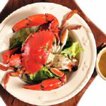 Feeding Red Claw Crabs: Nutritious Foods for a Vibrant Shell
