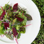 Bright & Bold: The Ultimate Arugula Beet Salad Guide